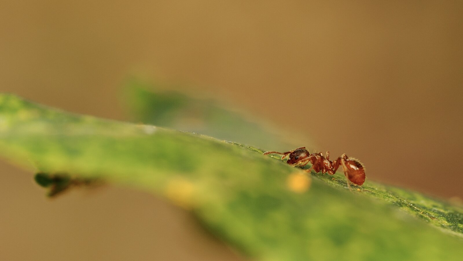 PA031684.jpg