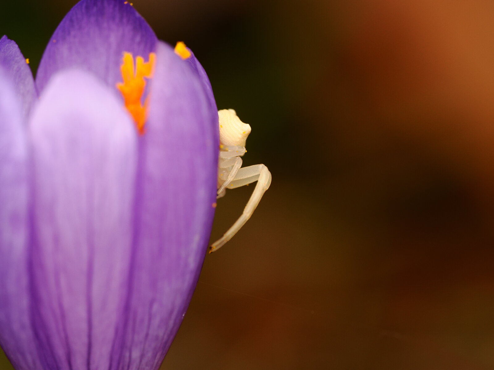 PA040110.JPG