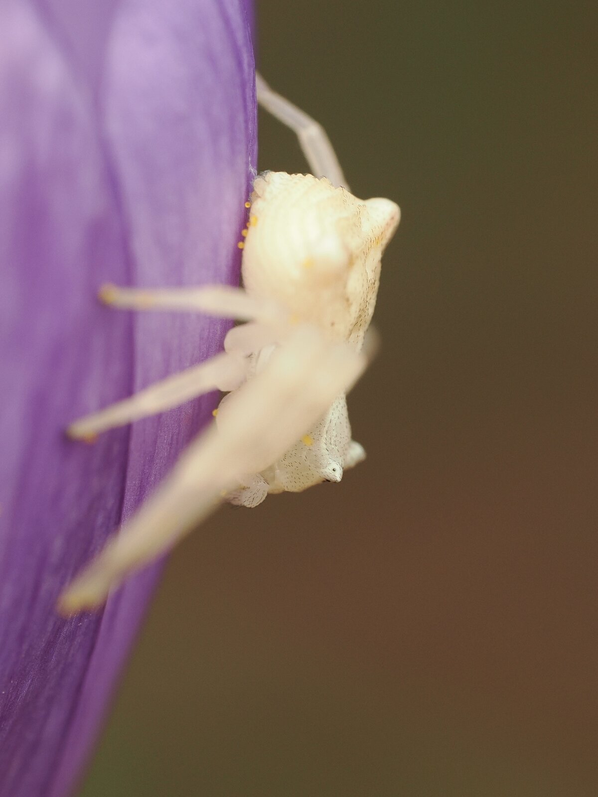 PA040128.jpg