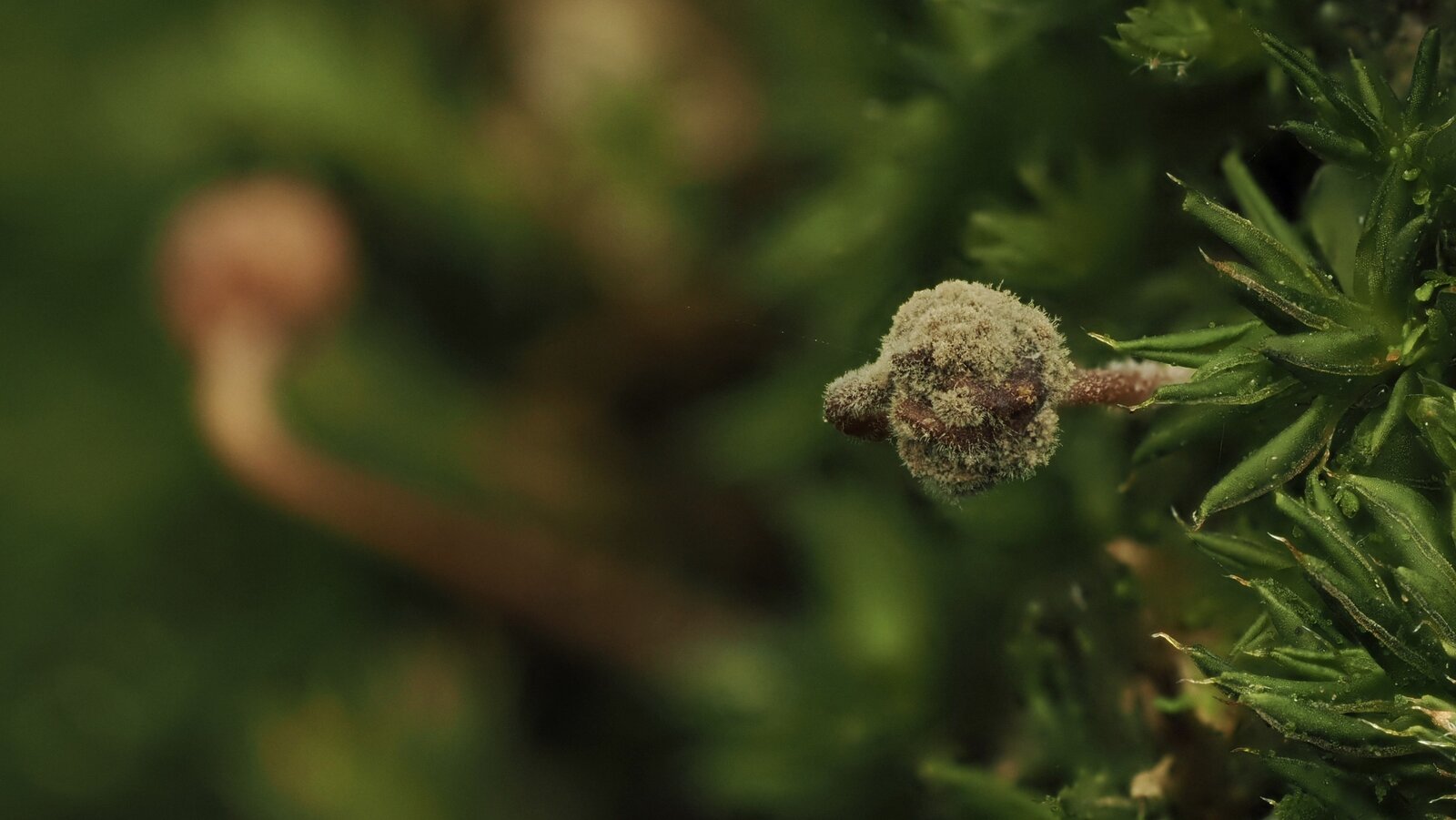 PA051099.jpg