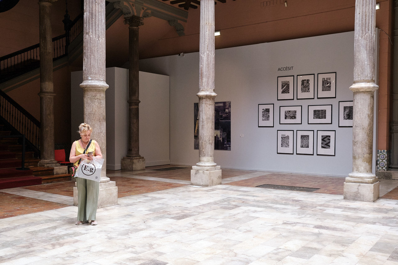 Palacion de Sástago. Premio de arte Sta. Isabel (2).jpg
