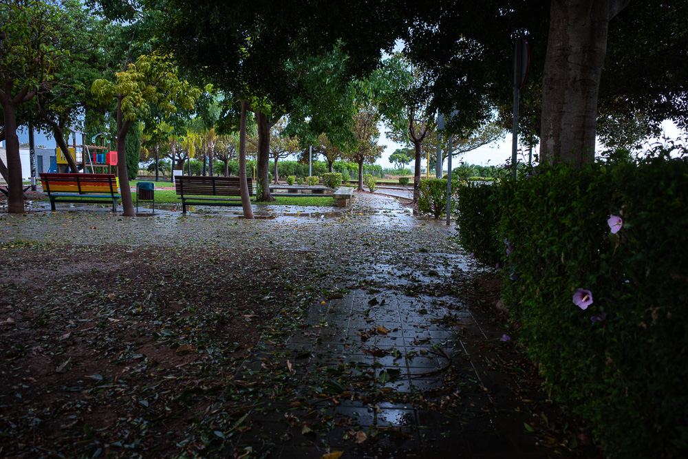 R0001238.jpg