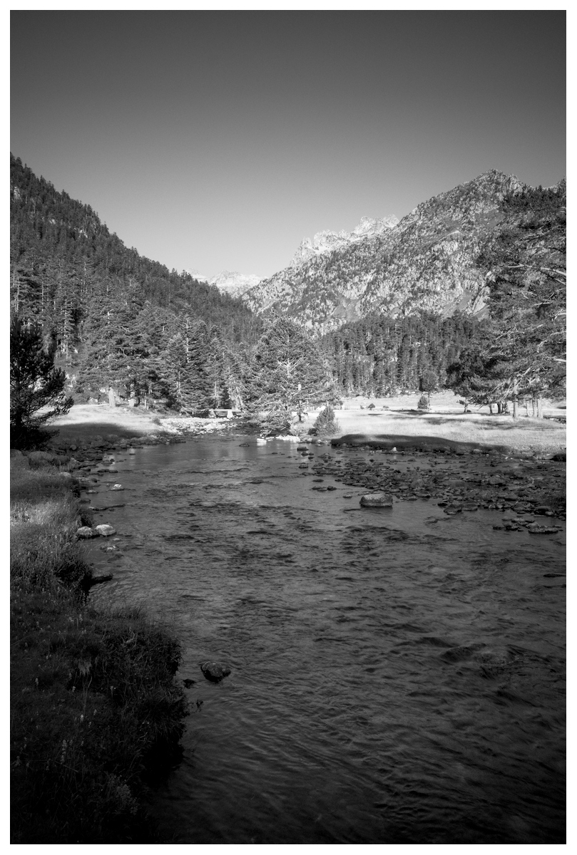 R0003223.jpg