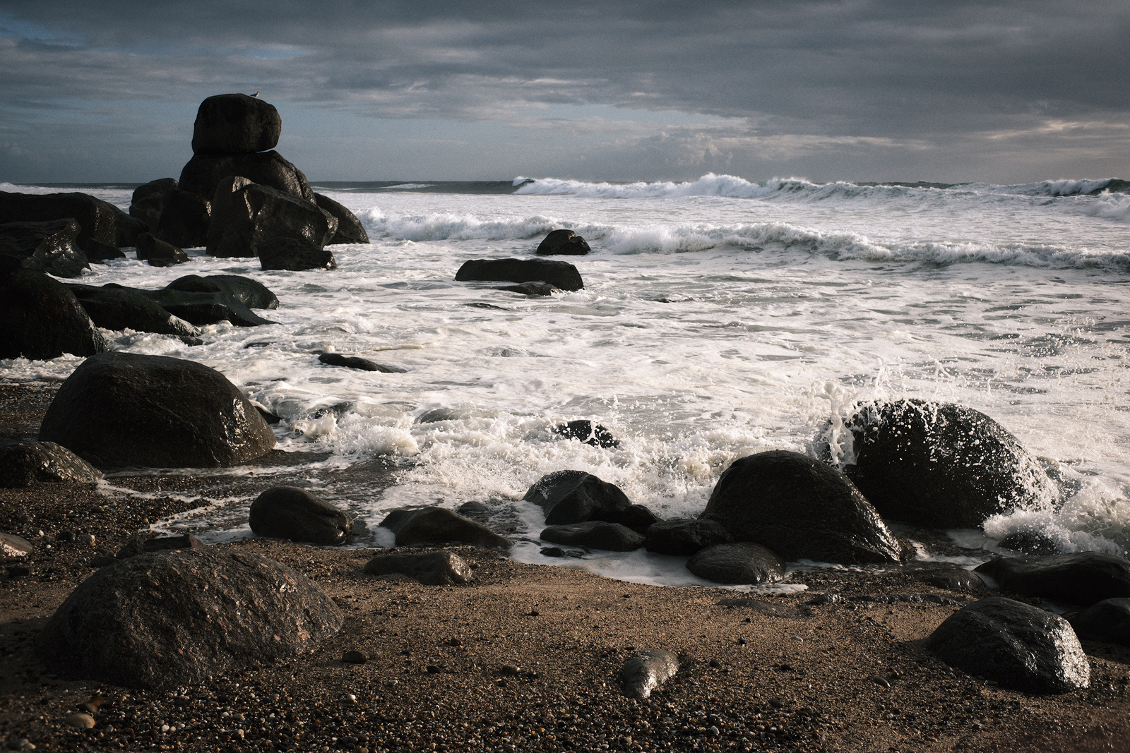 XE050412(1)-sharpened.jpg