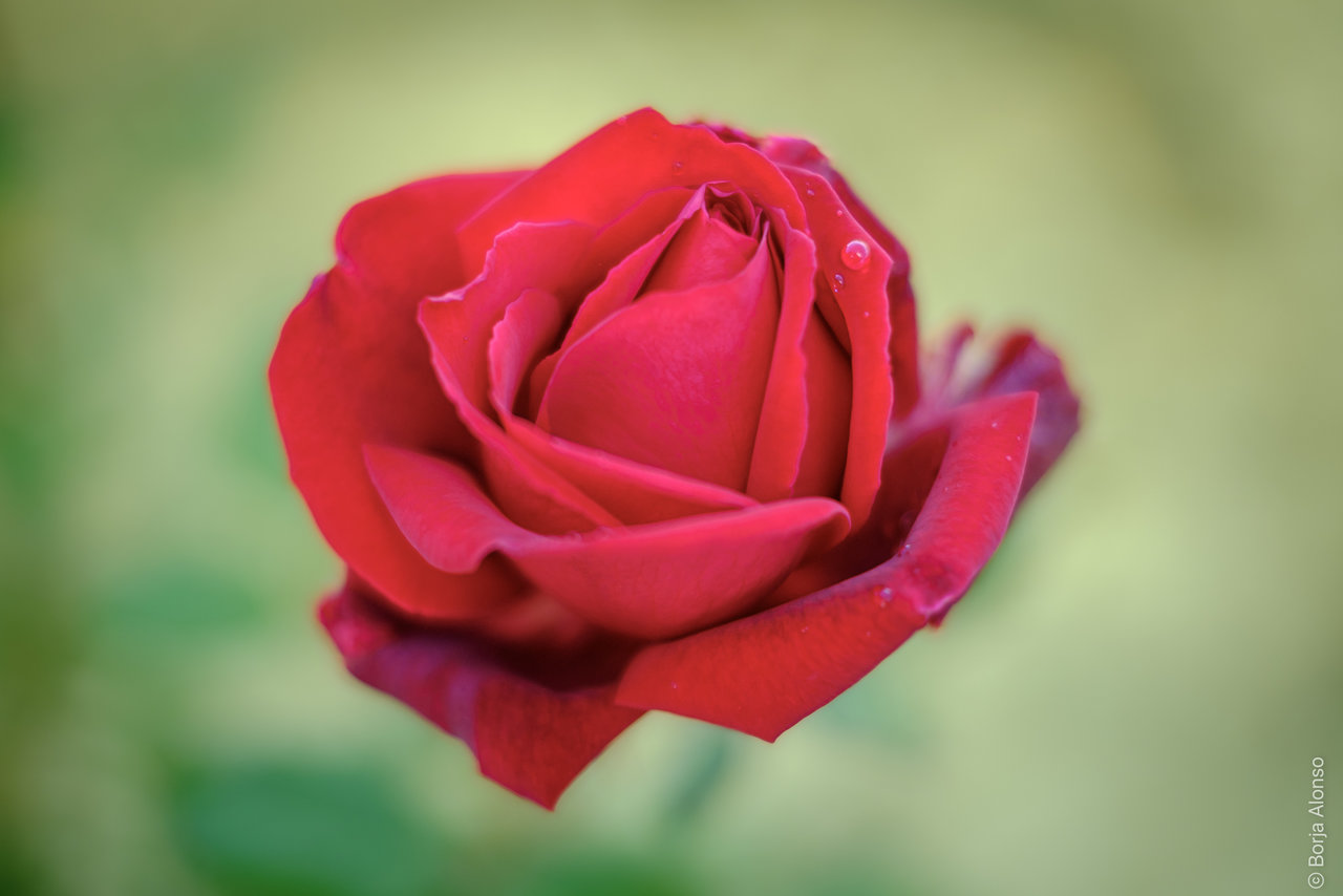 XPRO9880.jpg