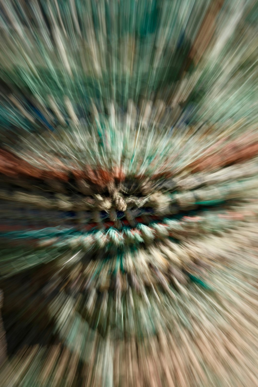 XS201377.jpeg